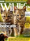 BBC Wildlife 10月號/2019