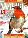 BBC Wildlife 12月號/2019+月曆