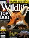 BBC Wildlife 3月號/2020+別冊