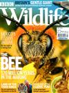 BBC Wildlife 7月號/2020