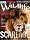 BBC Wildlife 8月號/2020