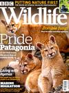 BBC Wildlife 10月號/2020