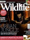 BBC Wildlife 11月號/2020