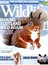 BBC Wildlife 12月號/2020