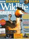 BBC Wildlife 3月號/2021