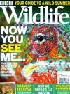 BBC Wildlife 8月號/2021