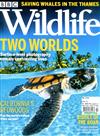 BBC Wildlife 10月號/2021