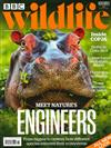 BBC Wildlife 11月號/2021+別冊