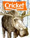 Cricket 11-12月號/2021