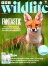 BBC Wildlife 5月號/2022