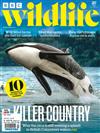 BBC Wildlife 7月號/2022