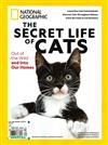 N.G 第34期：THE SECRET LIFE OF CATS