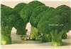 MINIATURE LIFE迷你微型生活趣味攝影集