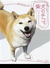 柴犬のチコ。 笑顔が自慢の柴犬チコです