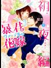 暴君ヴァーデルの花嫁 初夜編７ （ＭＩＳＳＹ ＣＯＭＩＣＳ）