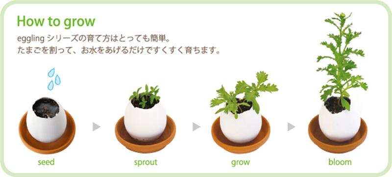 Eggling植物栽培蛋 M 小草莓 聖新陶芸 Taaze 讀冊生活 Eggling植物栽培蛋 M 小草莓 聖新陶芸 Taaze 讀冊生活