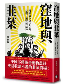 窪地與韭菜：阿姨論中國（人）的心理、現實與結局- TAAZE 讀冊生活