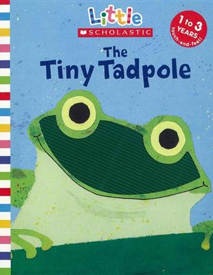 Little Scholastic: Tiny Tadpole (Board book) | 拾書所