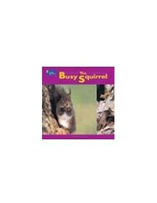 The busy squirrel /