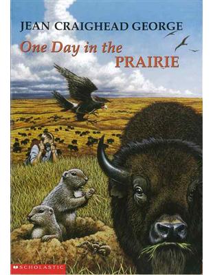 One Day in the Prairie | 拾書所