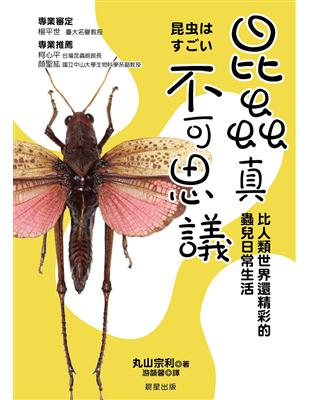 昆蟲真不可思議：比人類世界還精采的蟲兒日常生活 | 拾書所