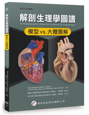 解剖生理學圖譜：模型 vs.大體圖解 | 拾書所