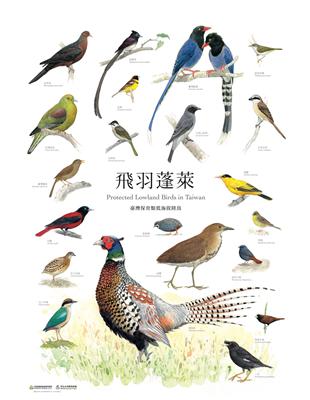 臺灣野生動物手繪海報（1套8張） | 拾書所