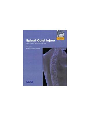 Spinal cord injury functional rehabilitation