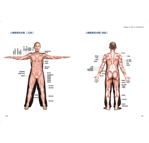 健身八段錦 肌肉解剖透視版 傳統氣功拳法x4d徒手健身 少林傳人教你每天10分鐘強肌健骨 舒筋活血防百病 Taaze 讀冊生活