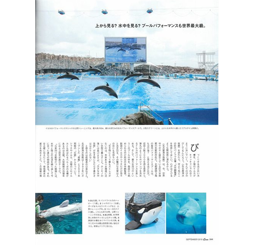Casa Brutus 9月號 19 動物園與水族館特集 Taaze 讀冊生活