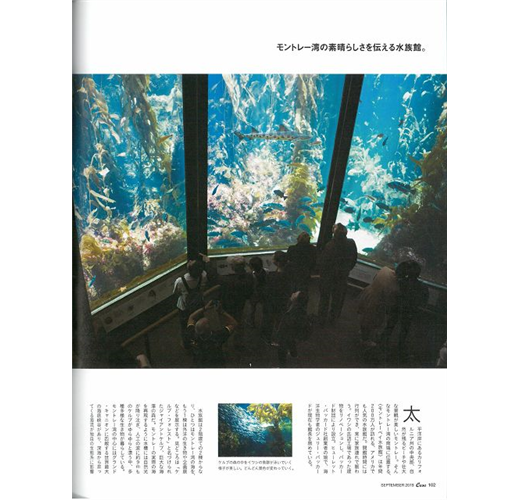 Casa Brutus 9月號 19 動物園與水族館特集 Taaze 讀冊生活